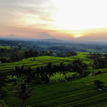 Bhuana Agung Villa And Restaurant Jatiluwih Zewnętrze zdjęcie