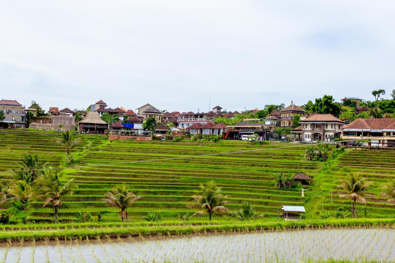 Bhuana Agung Villa And Restaurant Jatiluwih Zewnętrze zdjęcie