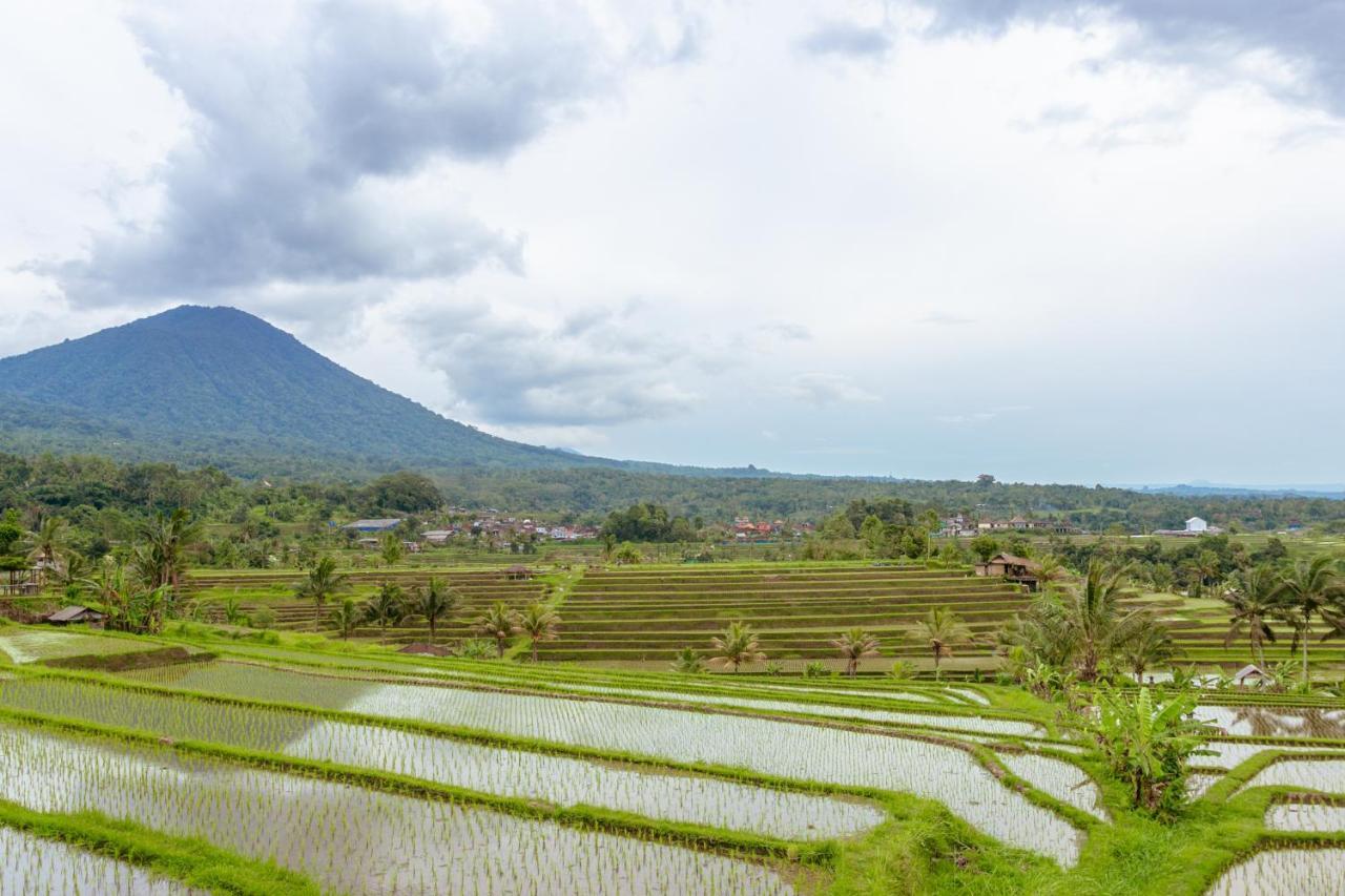 Bhuana Agung Villa And Restaurant Jatiluwih Zewnętrze zdjęcie