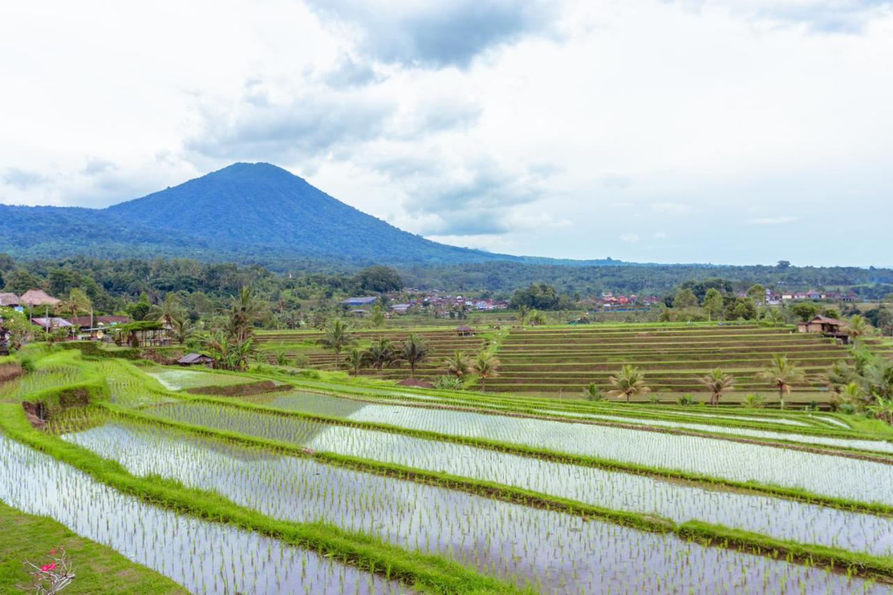 Bhuana Agung Villa And Restaurant Jatiluwih Zewnętrze zdjęcie