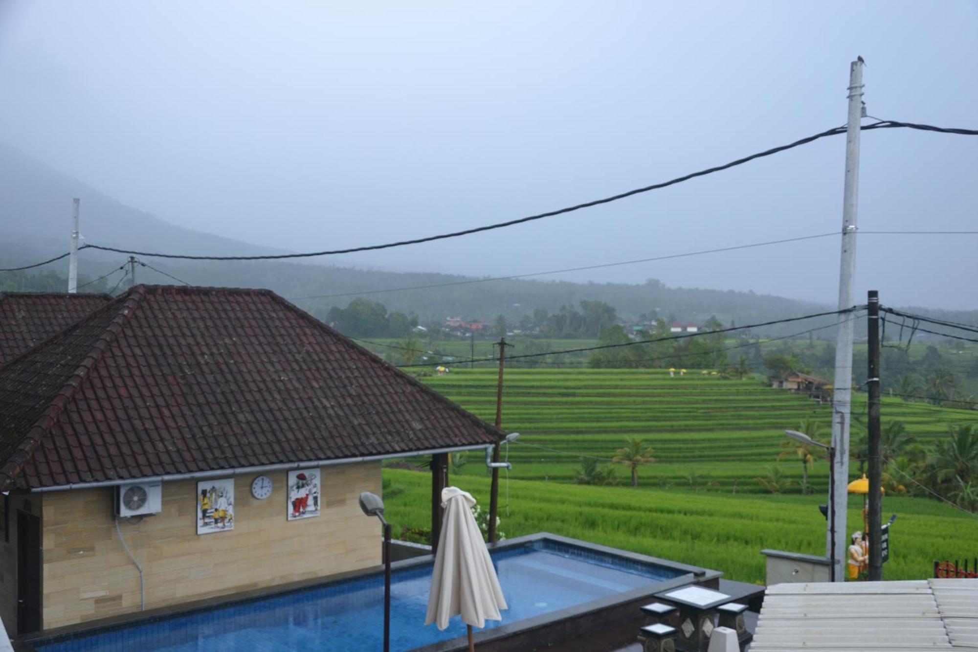 Bhuana Agung Villa And Restaurant Jatiluwih Zewnętrze zdjęcie