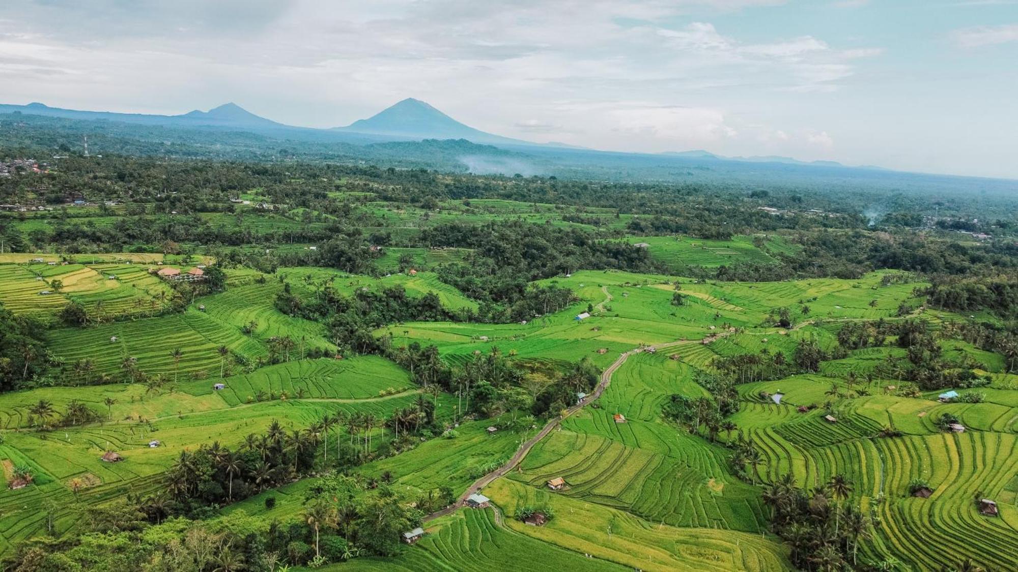 Bhuana Agung Villa And Restaurant Jatiluwih Zewnętrze zdjęcie