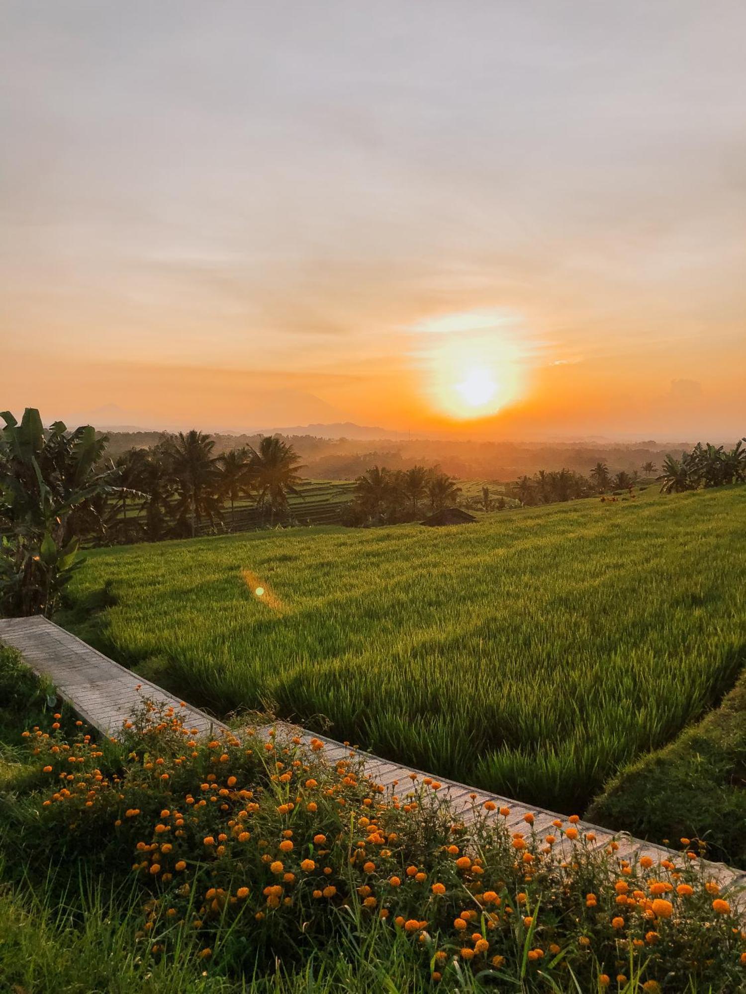 Bhuana Agung Villa And Restaurant Jatiluwih Zewnętrze zdjęcie