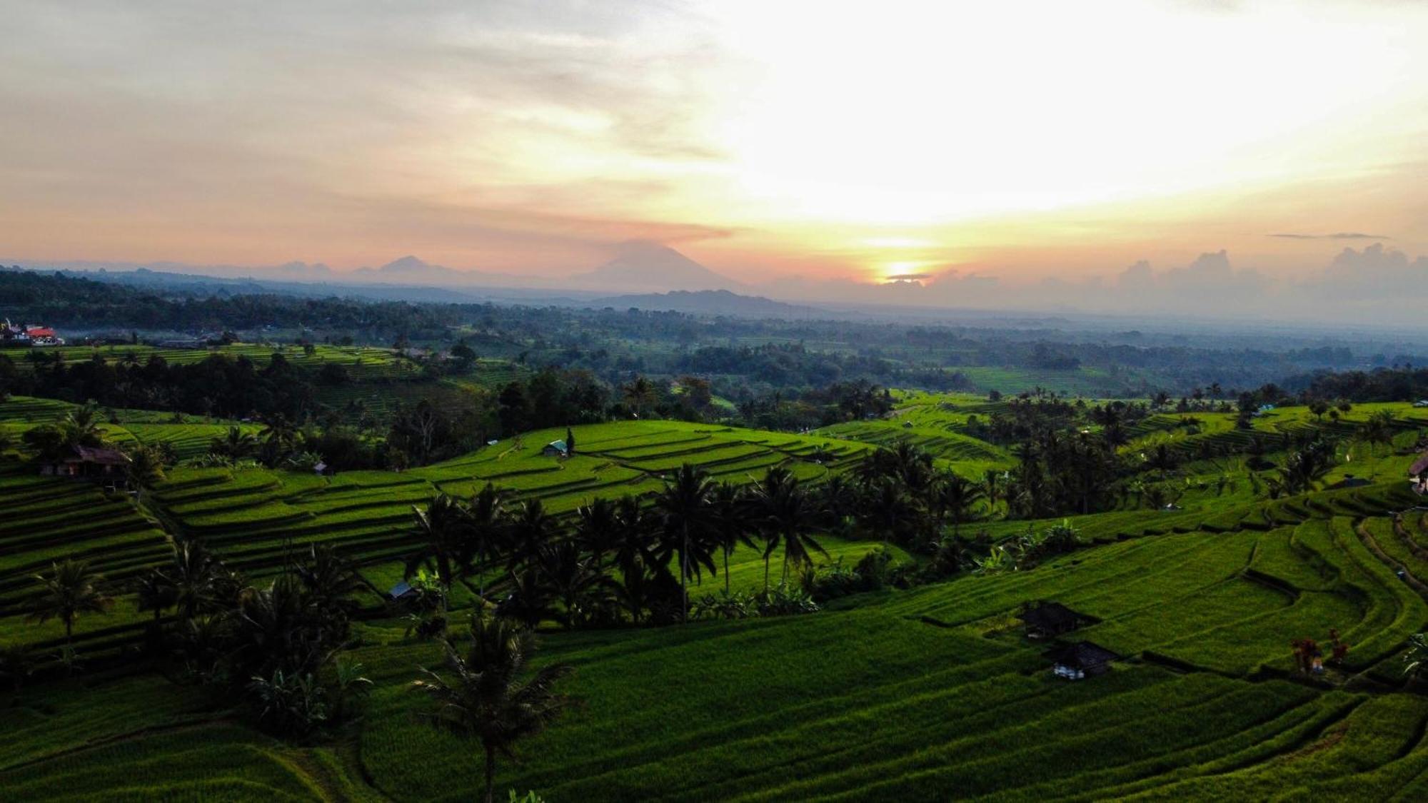 Bhuana Agung Villa And Restaurant Jatiluwih Zewnętrze zdjęcie