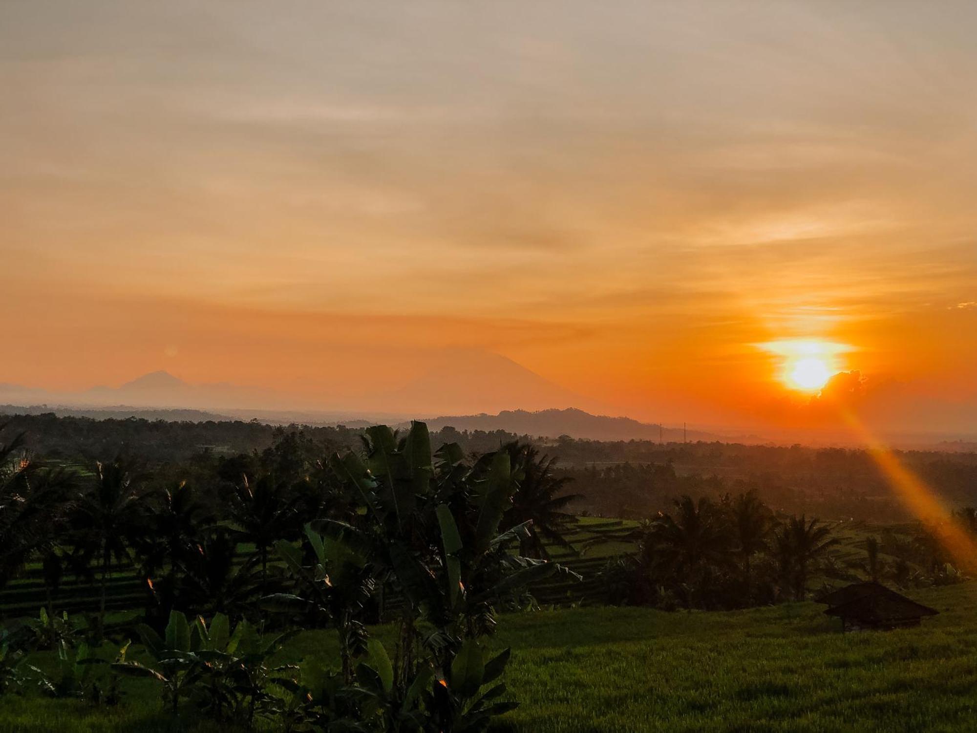 Bhuana Agung Villa And Restaurant Jatiluwih Zewnętrze zdjęcie