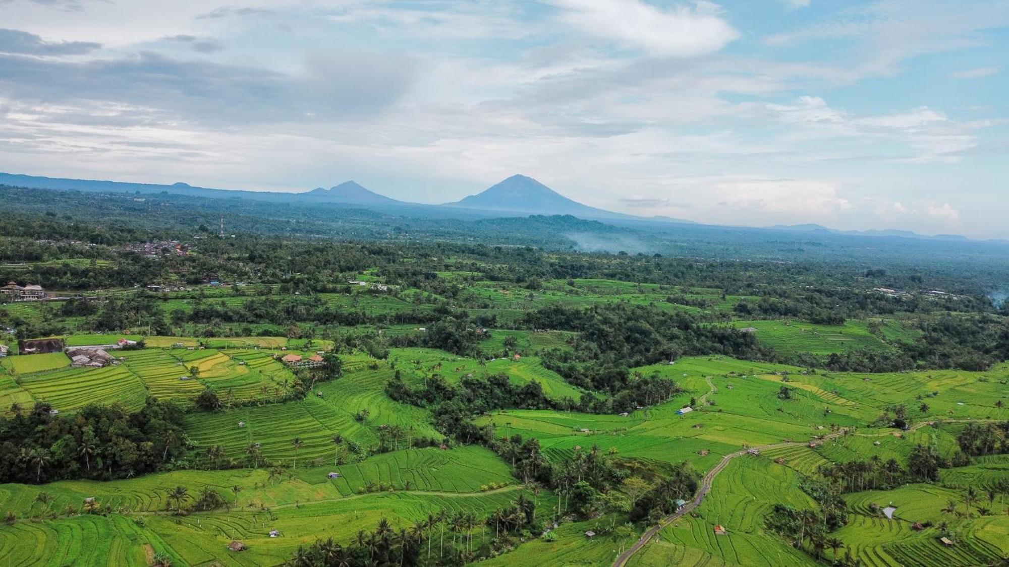 Bhuana Agung Villa And Restaurant Jatiluwih Zewnętrze zdjęcie