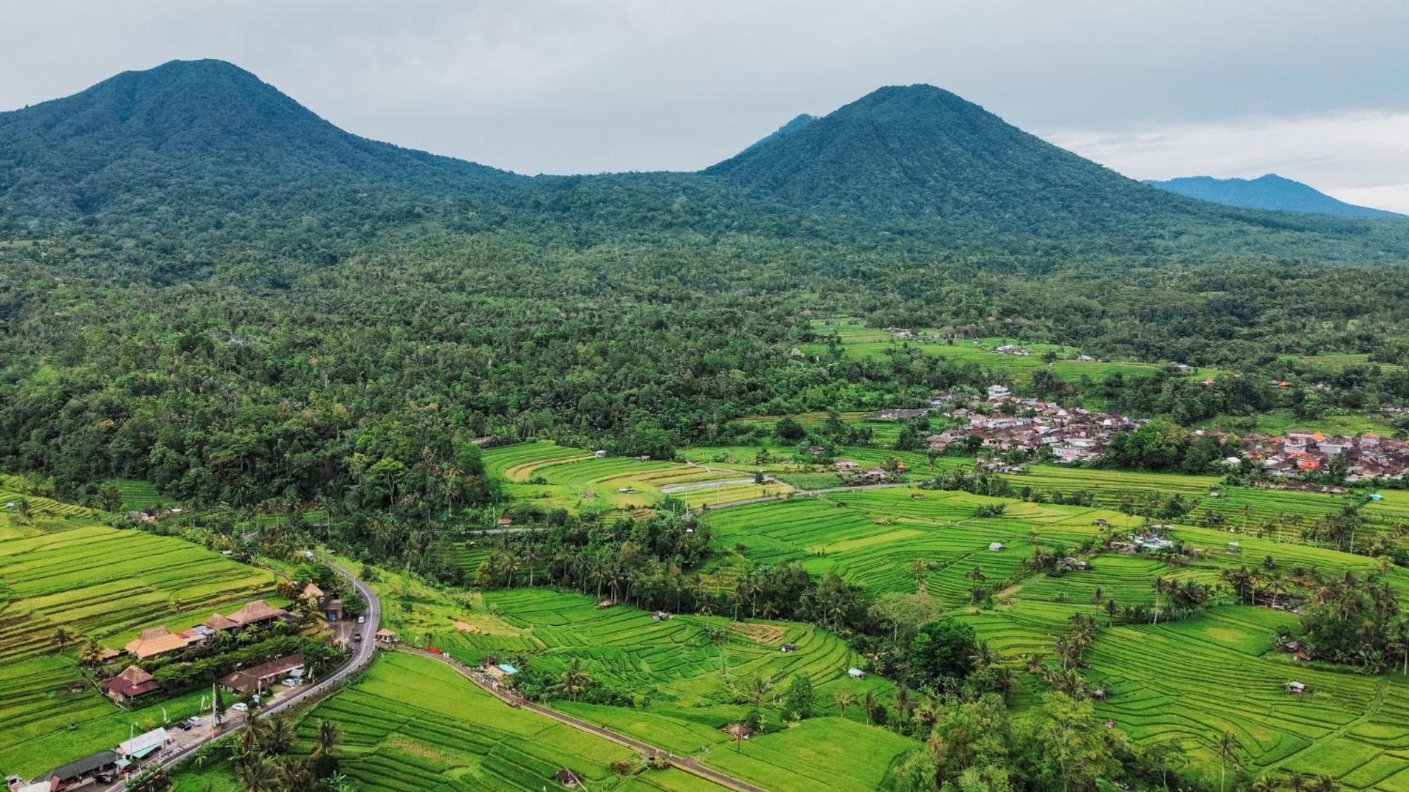 Bhuana Agung Villa And Restaurant Jatiluwih Zewnętrze zdjęcie