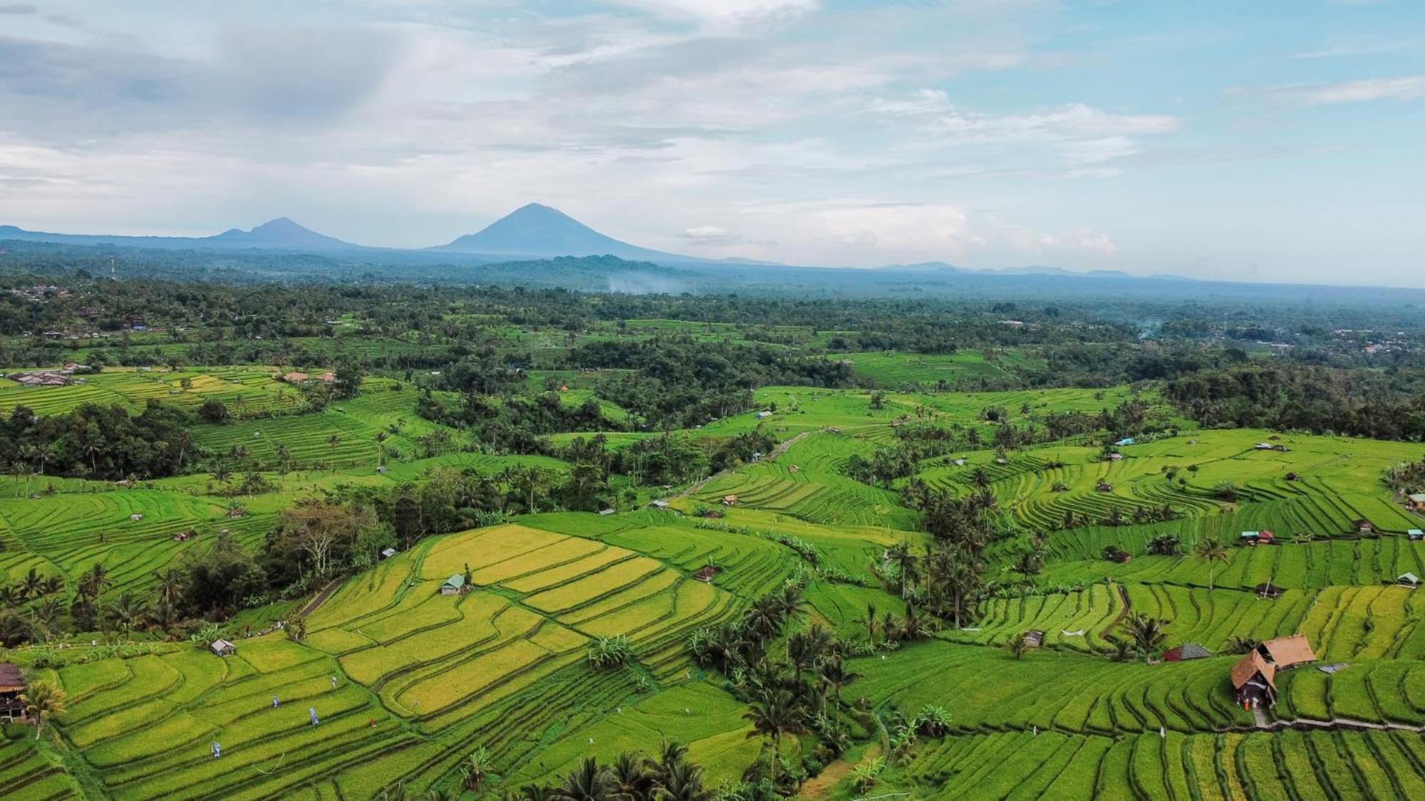 Bhuana Agung Villa And Restaurant Jatiluwih Zewnętrze zdjęcie